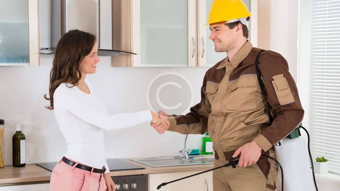 Fast Pest Removal