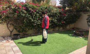 Residential Pest Control