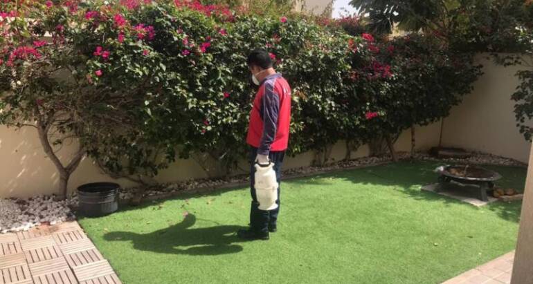 Residential Pest Control