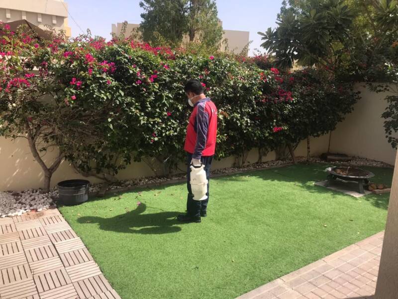 Residential Pest Control